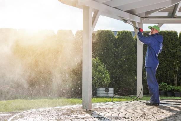 Best Sidewalk and Walkway Cleaning  in Marshall, MO